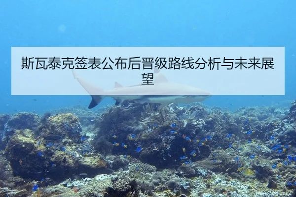 斯瓦泰克签表公布后晋级路线分析与未来展望